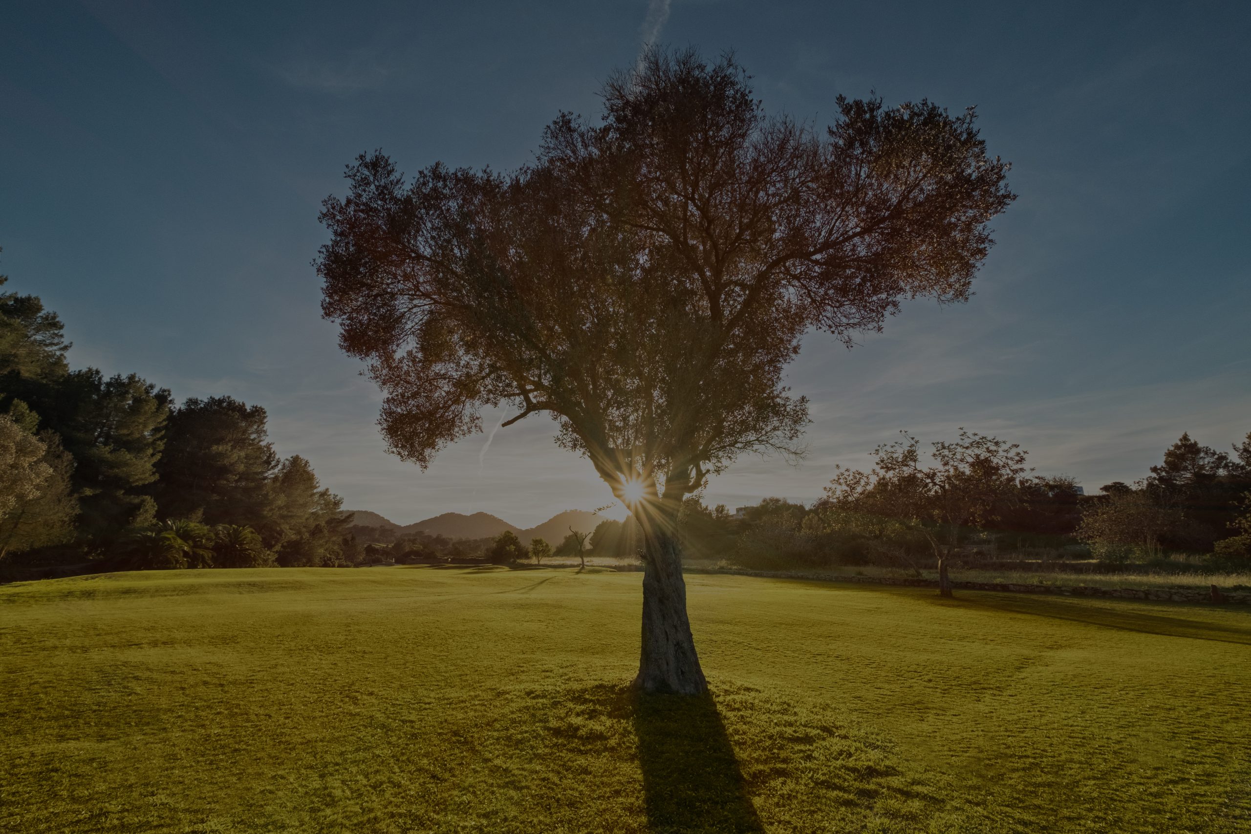 Golf Club Ibiza - Image 2